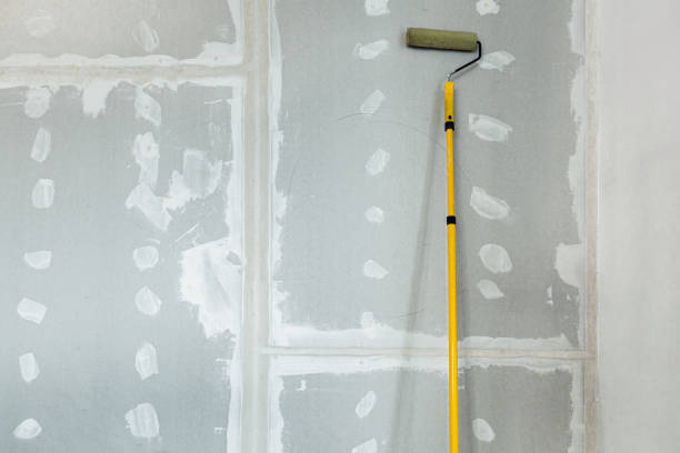 Best Attic Mold Removal  in Seminole, TX