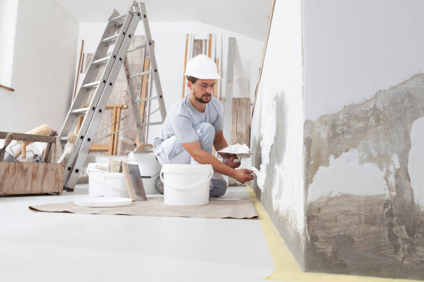 Best Basement Mold Removal  in Seminole, TX