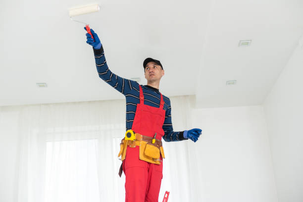 Best Crawl Space Mold Remediation  in Seminole, TX