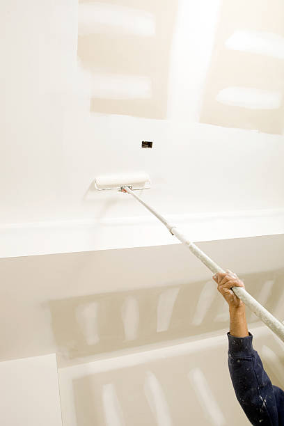 Best Environmental Consulting for Mold Prevention  in Seminole, TX